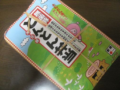 f:id:jranar:20101010133717j:image