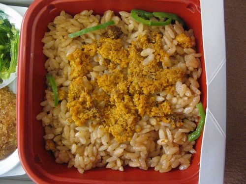f:id:jranar:20101016125025j:image