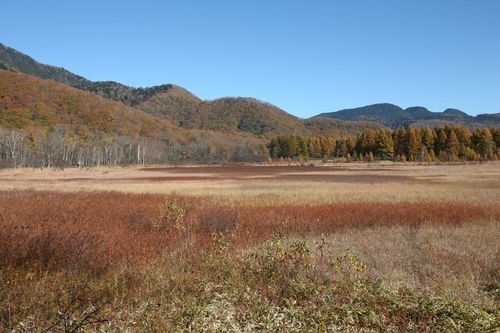 f:id:jranar:20101023084202j:image f:id:jranar:20101023084202j:image