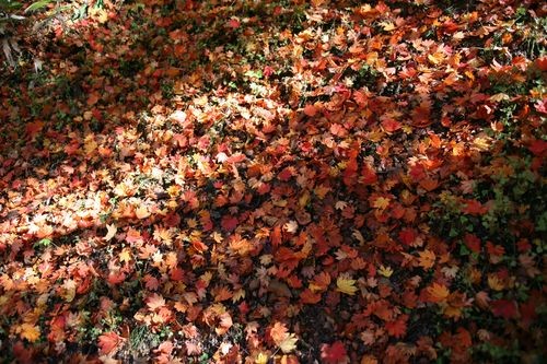 f:id:jranar:20101023095814j:image f:id:jranar:20101023095814j:image