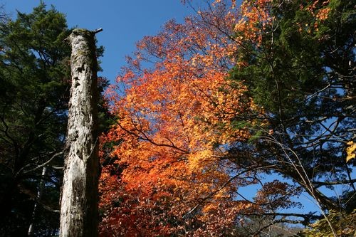 f:id:jranar:20101023100024j:image f:id:jranar:20101023100024j:image