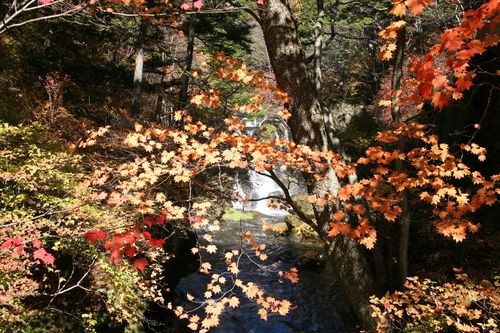 f:id:jranar:20101023114605j:image