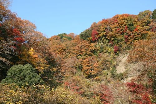 f:id:jranar:20101127094321j:image