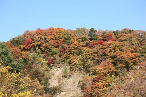 f:id:jranar:20101127094344j:image