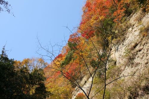 f:id:jranar:20101127095138j:image