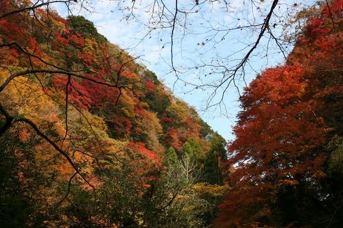 f:id:jranar:20101127101348j:image