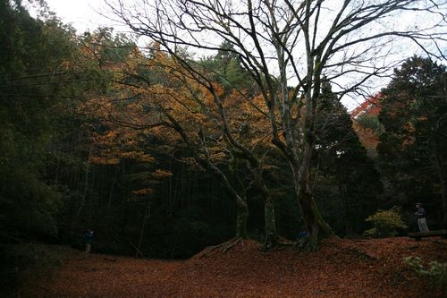 f:id:jranar:20101127101427j:image