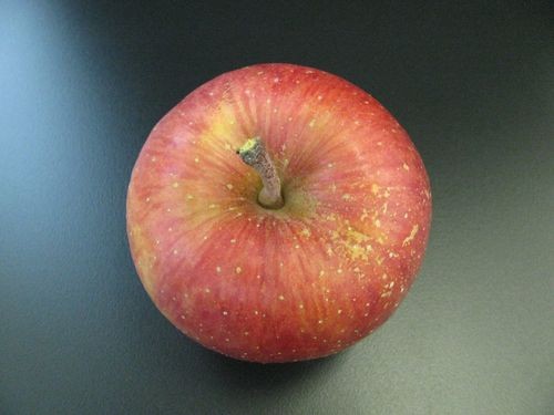 f:id:jranar:20101204112005j:image f:id:jranar:20101204112005j:image