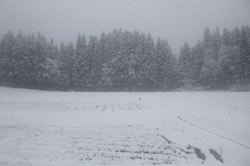 f:id:jranar:20101224144450j:image f:id:jranar:20101224144450j:image