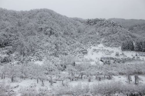 f:id:jranar:20101225090006j:image f:id:jranar:20101225090006j:image