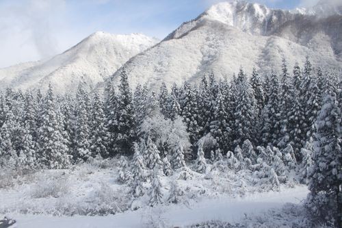 f:id:jranar:20101225102859j:image f:id:jranar:20101225102859j:image