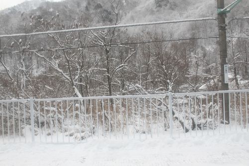 f:id:jranar:20101225104025j:image f:id:jranar:20101225104025j:image