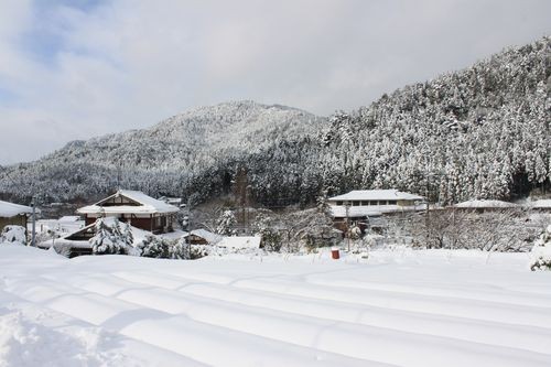 f:id:jranar:20110101102453j:image f:id:jranar:20110101102453j:image