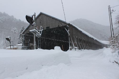 f:id:jranar:20110212074006j:image