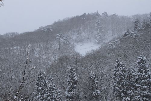 f:id:jranar:20110212075502j:image