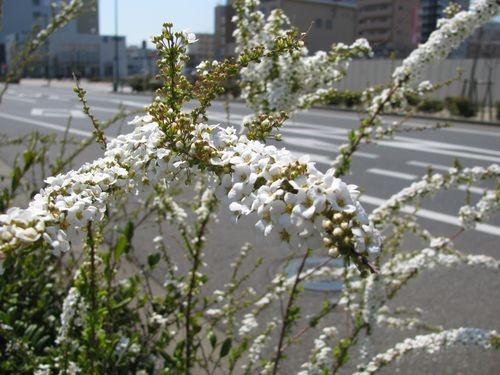 f:id:jranar:20110328115728j:image f:id:jranar:20110328115728j:image
