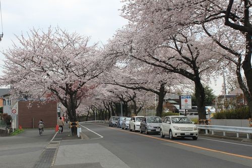 f:id:jranar:20110410120657j:image