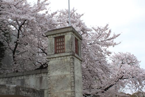 f:id:jranar:20110410121123j:image