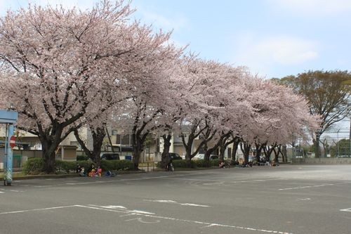 f:id:jranar:20110410121649j:image