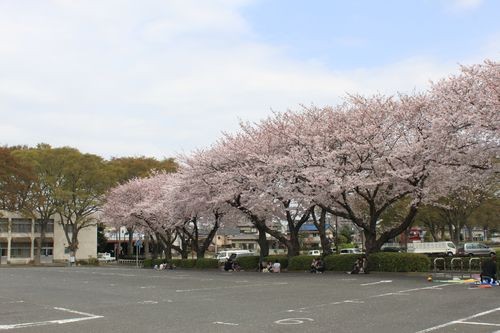 f:id:jranar:20110410121740j:image