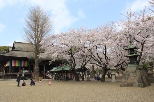 f:id:jranar:20110410122732j:image