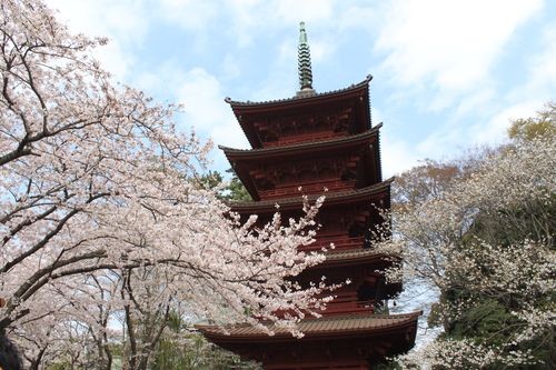 f:id:jranar:20110410122819j:image