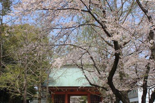 f:id:jranar:20110410130614j:image