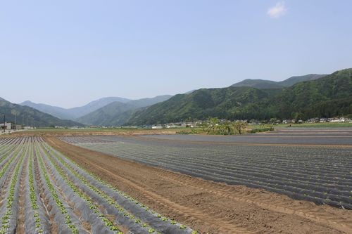 f:id:jranar:20110521103345j:image f:id:jranar:20110521103345j:image