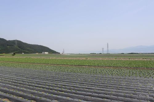 f:id:jranar:20110521103358j:image f:id:jranar:20110521103358j:image