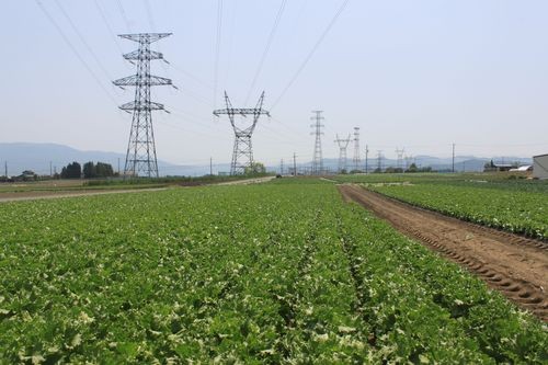 f:id:jranar:20110521110544j:image f:id:jranar:20110521110544j:image