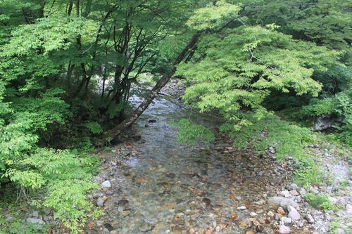 f:id:jranar:20110618104950j:image f:id:jranar:20110618104950j:image