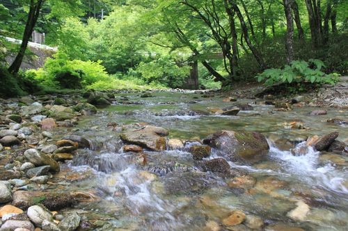 f:id:jranar:20110618105159j:image f:id:jranar:20110618105159j:image