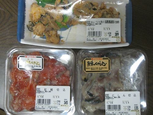 f:id:jranar:20110709234924j:image