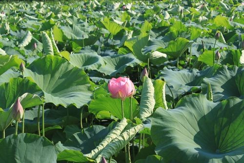f:id:jranar:20110717071936j:image