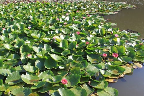 f:id:jranar:20110717072101j:image