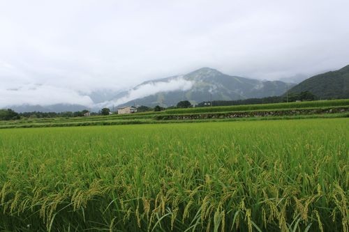 f:id:jranar:20110820134143j:image f:id:jranar:20110820134143j:image