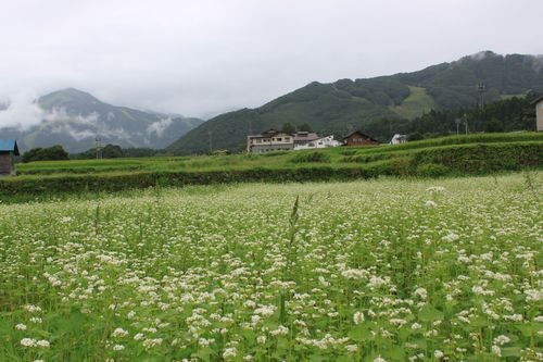 f:id:jranar:20110820134441j:image f:id:jranar:20110820134441j:image