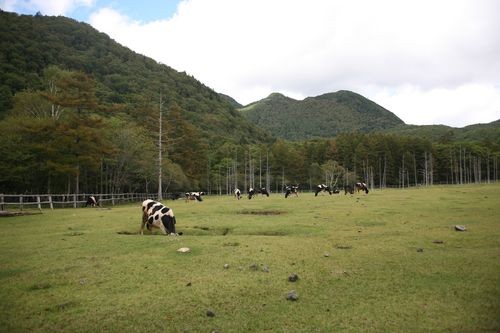f:id:jranar:20110923122717j:image f:id:jranar:20110923122717j:image