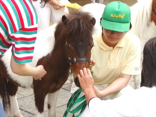 f:id:jranar:20111016073722j:image