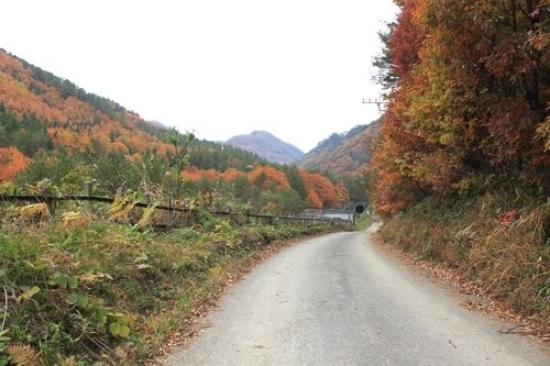 f:id:jranar:20111105094738j:image