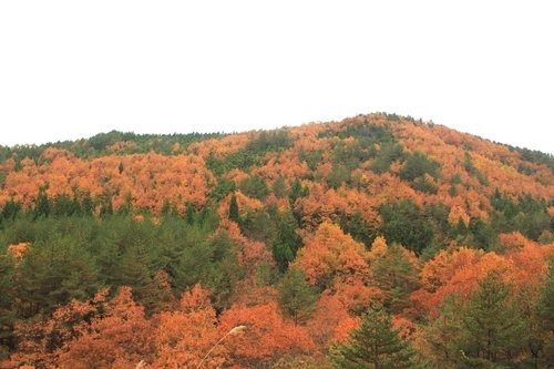 f:id:jranar:20111105094900j:image