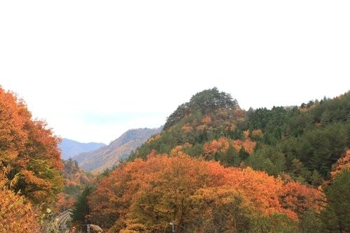 f:id:jranar:20111105094901j:image