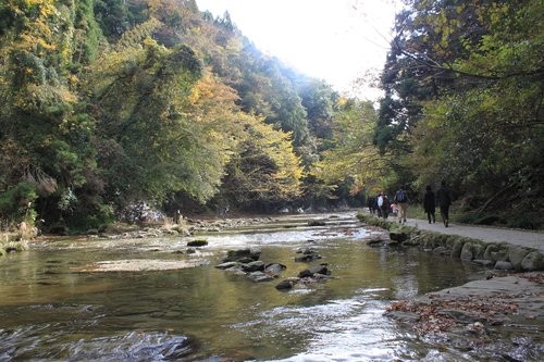 f:id:jranar:20111127083045j:image