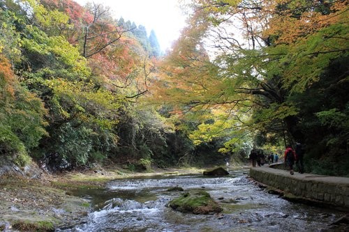 f:id:jranar:20111127083126j:image