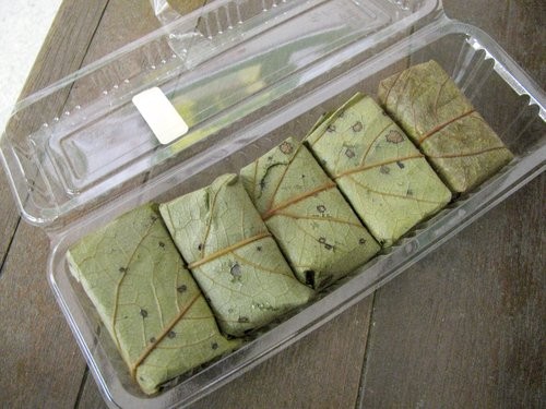 f:id:jranar:20120102092434j:image