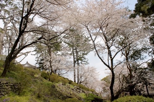 f:id:jranar:20120407230048j:image