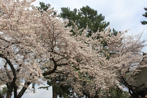 f:id:jranar:20120407230049j:image