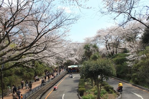 f:id:jranar:20120407230609j:image