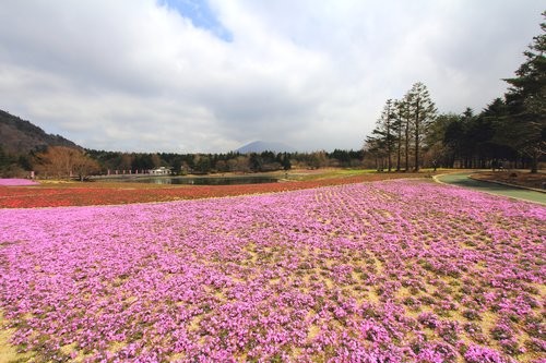 f:id:jranar:20120422085443j:image