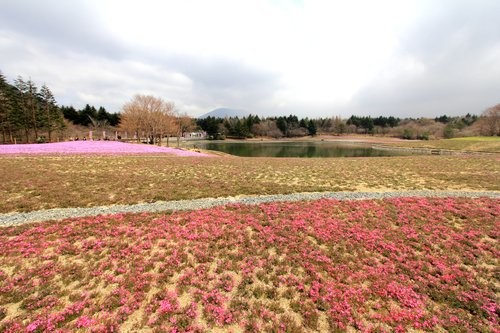 f:id:jranar:20120422085444j:image